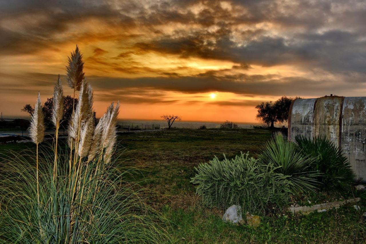 Agriturismo La Guarda Picedo Dış mekan fotoğraf