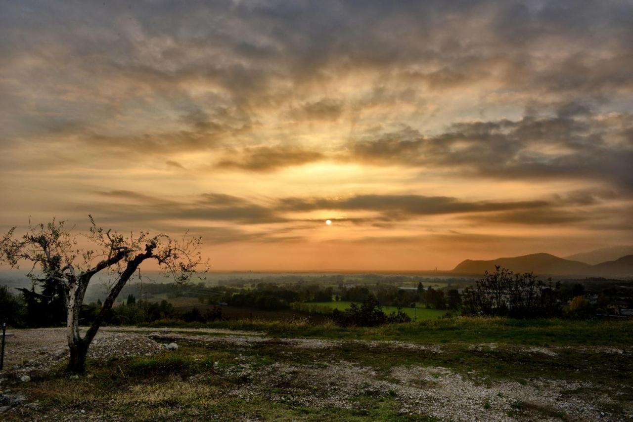 Agriturismo La Guarda Picedo Dış mekan fotoğraf