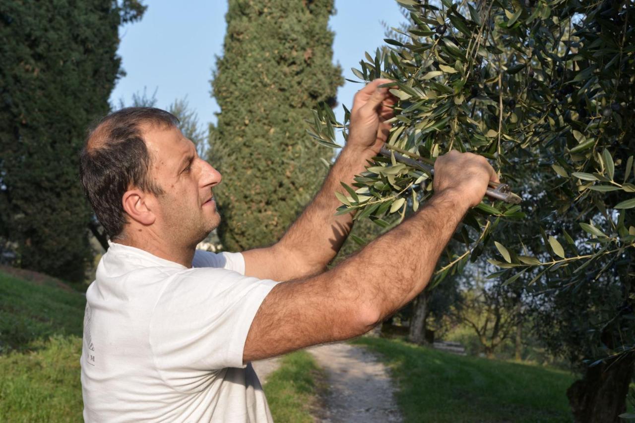 Agriturismo La Guarda Picedo Dış mekan fotoğraf