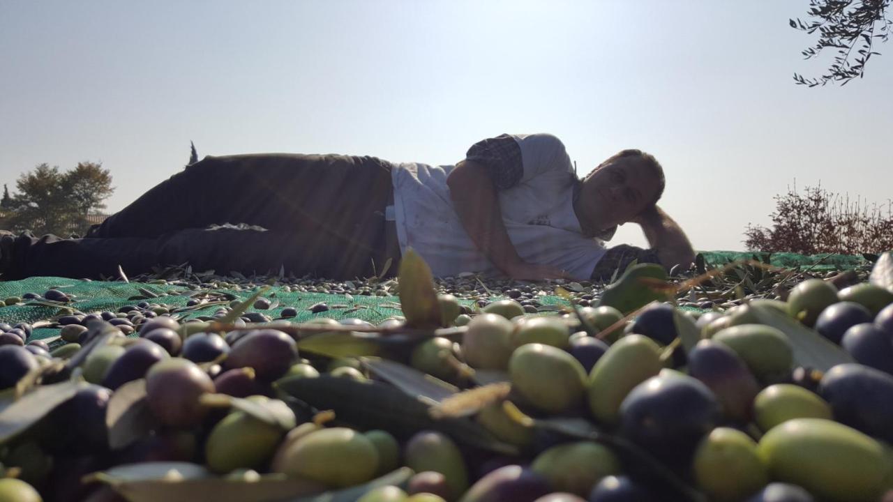 Agriturismo La Guarda Picedo Dış mekan fotoğraf