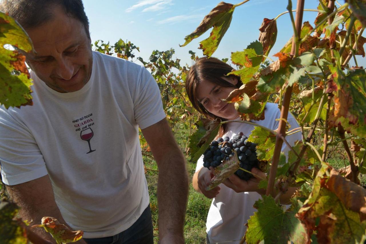 Agriturismo La Guarda Picedo Dış mekan fotoğraf