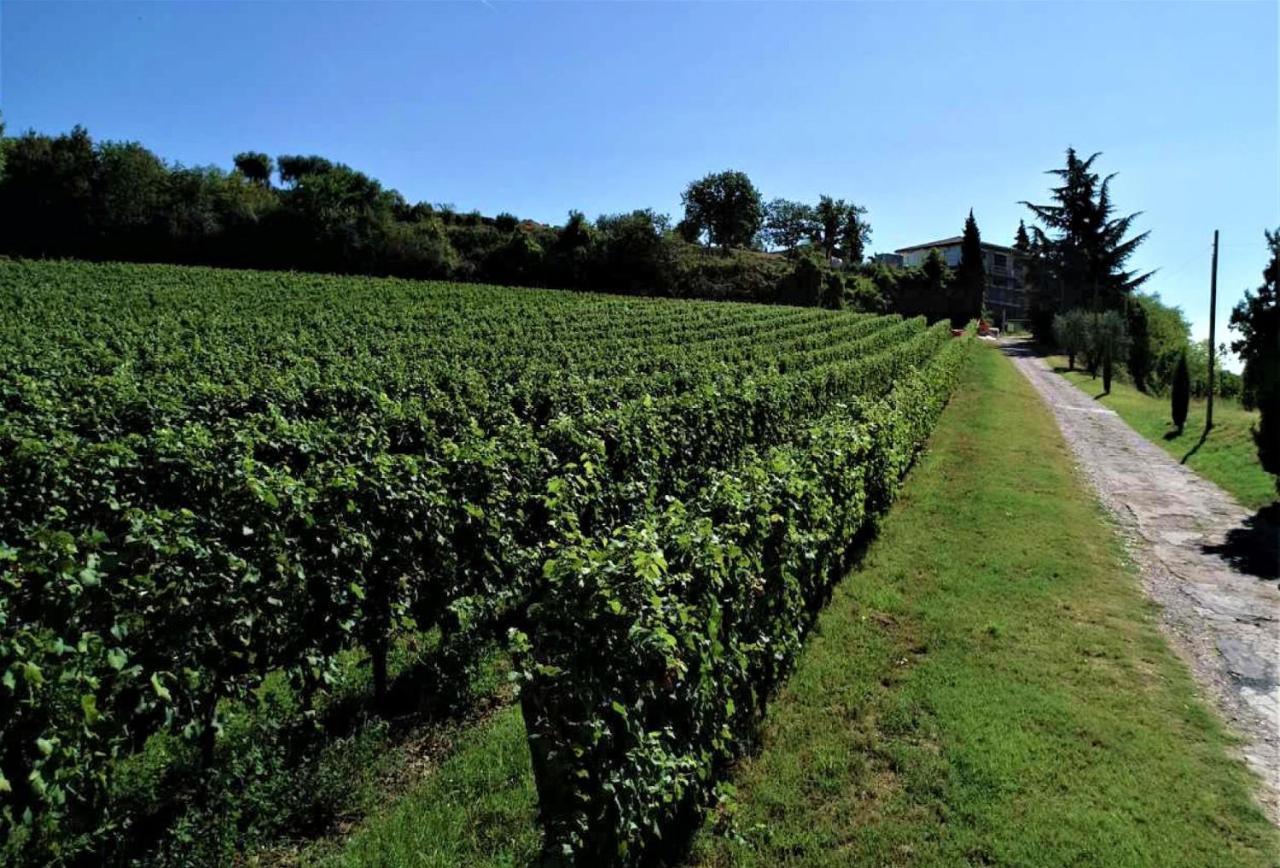 Agriturismo La Guarda Picedo Dış mekan fotoğraf
