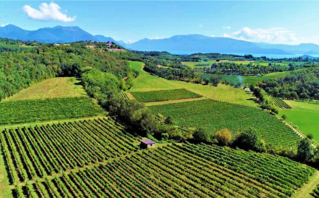 Agriturismo La Guarda Picedo Dış mekan fotoğraf